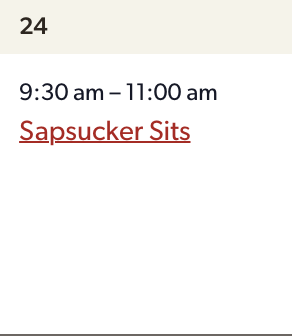 A screenshot of Day 3 schedule.